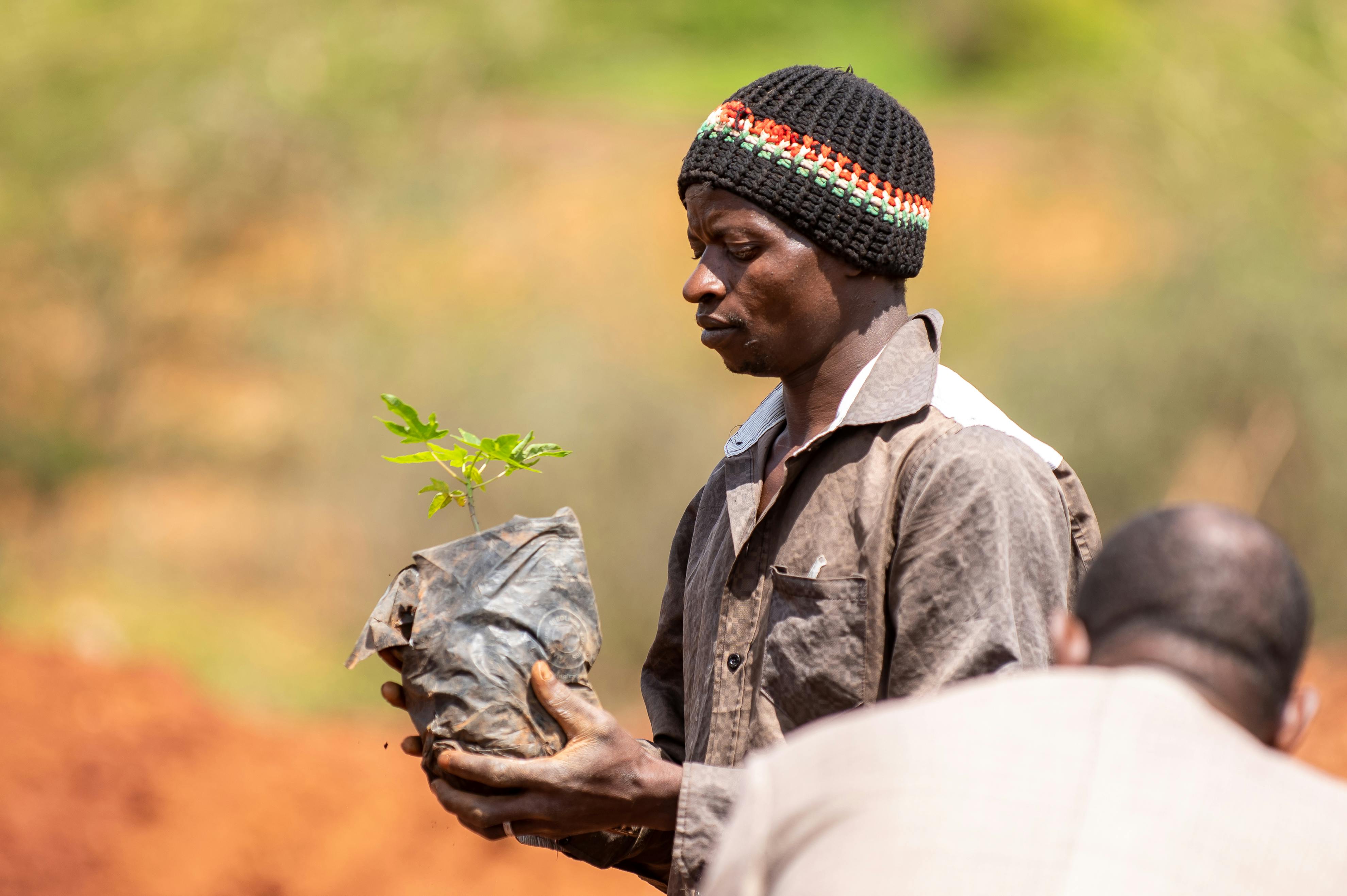 pexels-collines-omondi-3541983-18468255